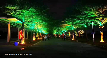 RGBW投光燈帶領(lǐng)光臣走進(jìn)月亮湖項(xiàng)目